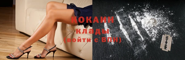 спиды Горняк