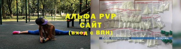 спиды Горняк