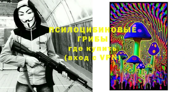 спиды Горняк