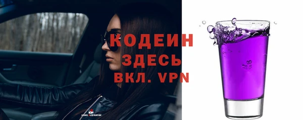 спиды Горняк
