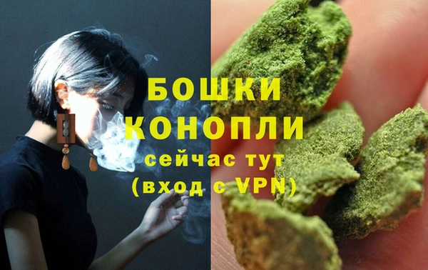 спиды Горняк