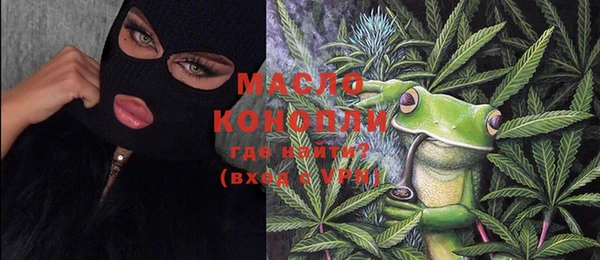 спиды Горняк