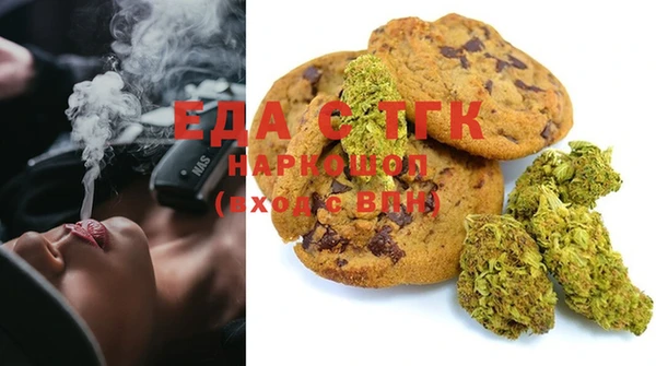 спиды Горняк